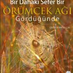 Bir Dahaki Sefer ÖRÜMCEK AĞI GÖRDÜĞÜNDE - Next Time You See a Spiderweb (Kopya)